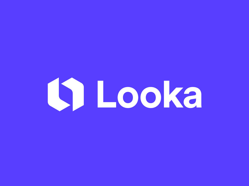 Looka |大数据和人工智能技术设计专业LOGO